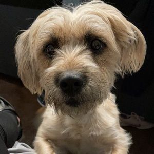 Meet your Posher, Kaely